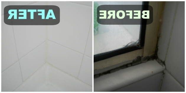 Amazing How To Recaulk A Bathtub How To Re Grout And Re Caulk Your Shower You Can Do It