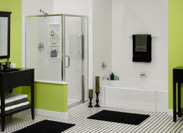 Wonderful Bathtub Skins Bathroom Remodeling Shower Liners Bath Liners Bci Acrylic